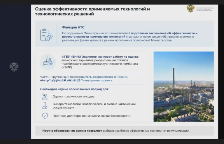 Директор ИАЭП — председатель секции НТС Минприроды России
