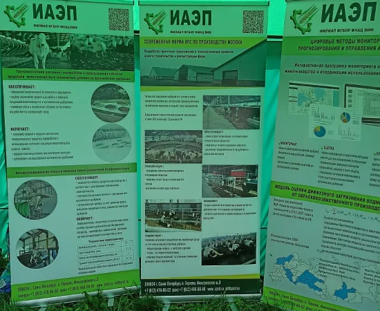 11 июня 2026 года наш институт принял участие в традиционном мероприятии «День поля Ленинградской области»